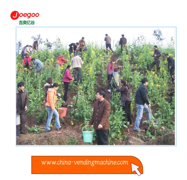 اداره صادرات شرکت جئوگو یک فعالیت داوطلبانه برای جشنواره گیاه برگزار کرد